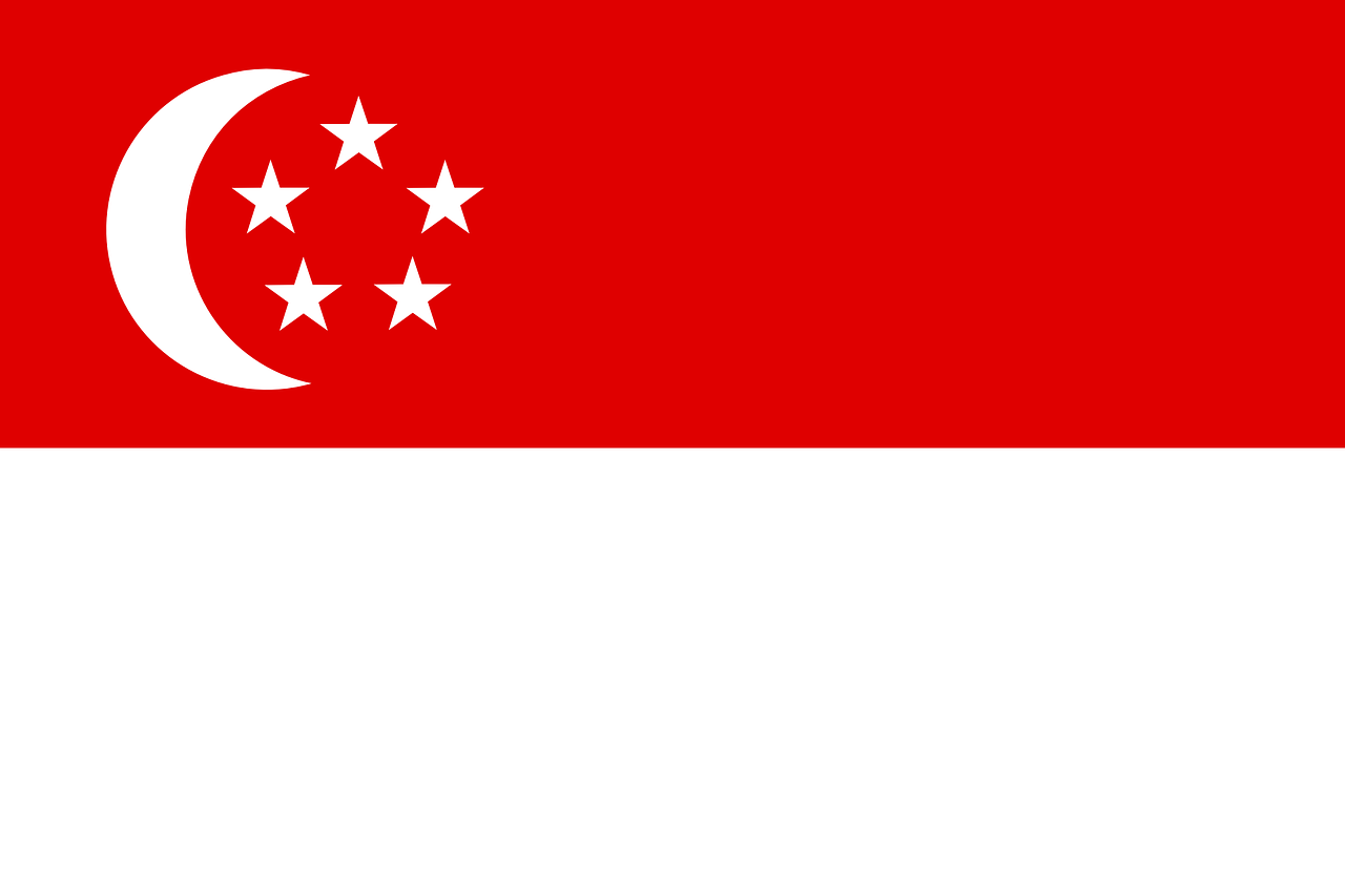 singapur lengua oficial