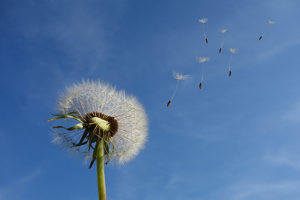 ¿Qué es el viento para los niños?